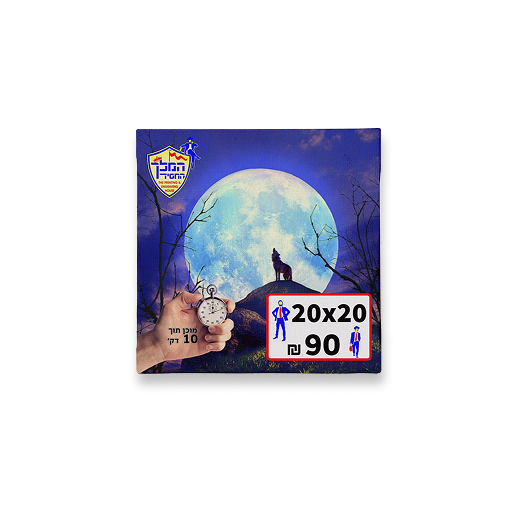 20*20